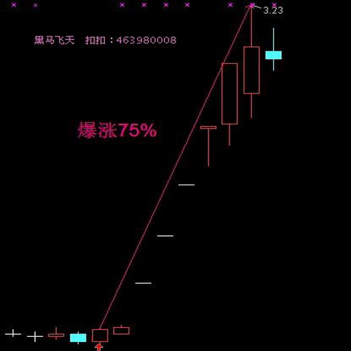 潜龙腾渊 黑马短线指标战法 大智慧通达信炒股