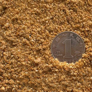 绿植盆栽 黄沙 多肉肥料营养土 水培沙 鱼缸适合