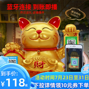 luy cat ornaments open store cashier counter gifts creative custom qr code voice broadc collection practical