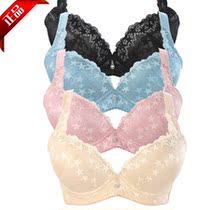 【精选】<em>戴芝蒂文胸</em>薄9123十大<em>品牌</em>,<em>戴芝蒂文</em>