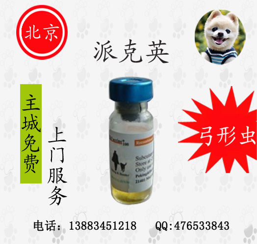 正品 北京派克英 犬猫弓形虫疫苗 预防弓形虫 主
