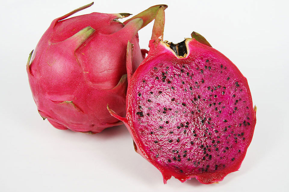 北京火龙果团购,北京火龙果打折优惠,北京火龙