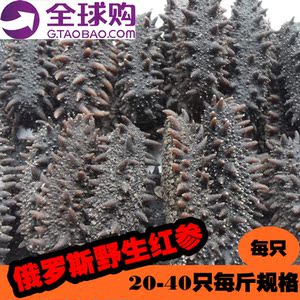 俄罗斯海参淡干批发六排刺野生海参刺参红参干
