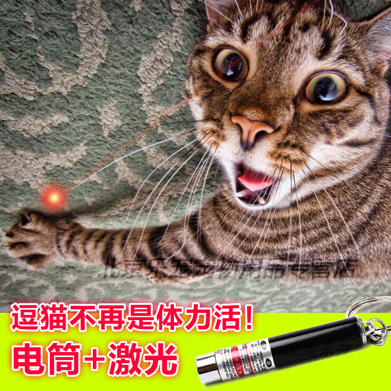 激光逗猫棒猫玩具 镭射逗猫笔猫咪互动玩具 红外线逗猫玩具 bj