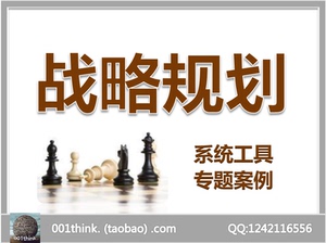 战略规划资料大全企业发展品牌定位营销管理蓝