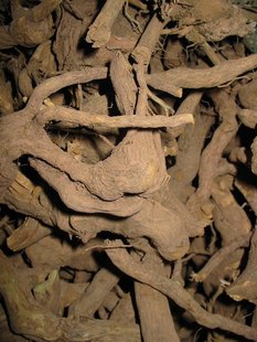 虫牙<em>药</em>、黄箭根、<em>三姐妹</em>、牛尾、唇形科植物三