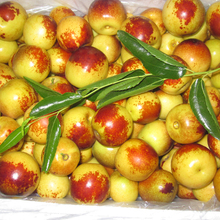 【陕西大荔特产】最新最全陕西大荔特产 产品