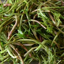 【芦蒿】最新最全芦蒿 产品参考信息