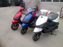 【新巧格】最新最全新巧格 产品参考信息