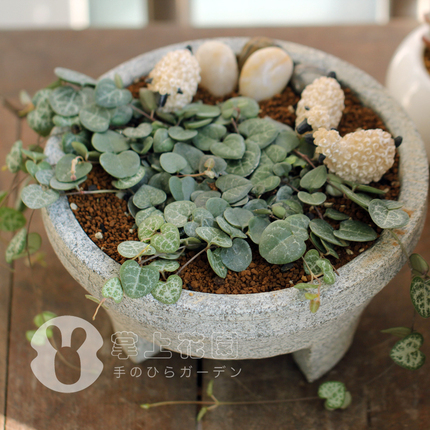 zakka石头盆 手工迷你羊 健康优生活 - 如意淘