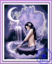 【月光鱼】最新最全月光鱼 产品参考信息