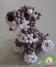 【贵族犬】最新最全贵族犬 产品参考信息