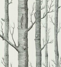【白桦树墙纸】最新最全白桦树墙纸 产品参考