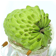 【佛头果】最新最全佛头果 产品参考信息_一淘搜索