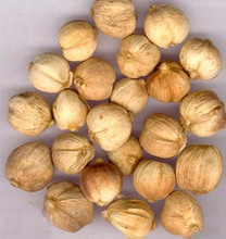 【白寇仁】最新最全白寇仁 产品参考信息