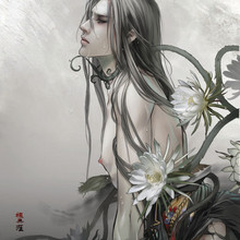 【枫无涯】最新最全枫无涯 产品参考信息