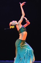 【舞蹈月光下的凤尾竹】最新最全舞蹈月光下的