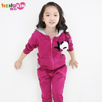 童装女童春装2014新款女大童运动套装儿童卫
