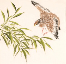 【鹌鹑鸟】最新最全鹌鹑鸟 产品参考信息