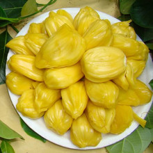 【菠萝蜜肉】最新最全菠萝蜜肉 产品参考信息