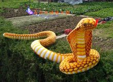 【黄金眼镜蛇】最新最全黄金眼镜蛇 产品参考