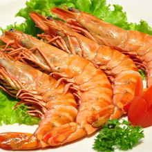 野生草虾 鲜活冷冻 4头大虾 对虾 营养价值高 4