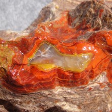 【辽宁北票战国红】最新最全辽宁北票战国红 