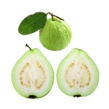 【芭乐果】最新最全芭乐果 产品参考信息