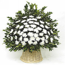 【祭奠花篮】_绿植园艺价格_最新最全绿植园