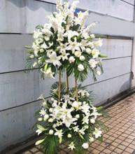 【葬礼用花】最新最全葬礼用花返利优惠