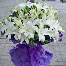 【99朵百合花束】最新最全99朵百合花束 产品