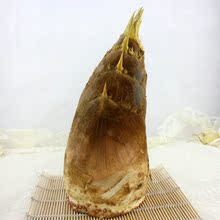 【毛笋】最新最全毛笋 产品参考信息