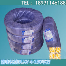 【25平方铝线】_电子价格_最新最全电子返利