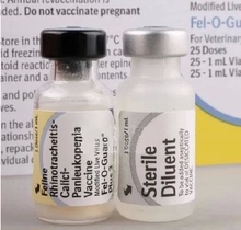 【德国勃林格疫苗】最新最全德国勃林格疫苗 