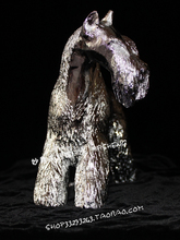 【狗狗立耳】最新最全狗狗立耳 产品参考信息