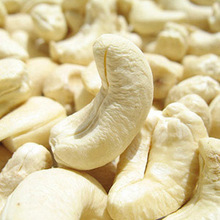 【白仁】最新最全白仁 产品参考信息