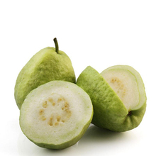 【芭乐果】最新最全芭乐果 产品参考信息