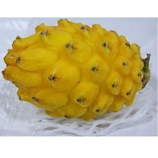 香港进口哥伦比亚 麒麟果 金燕窝果 黄龙果 水果