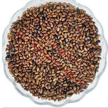 【抄货】最新最全抄货 产品参考信息