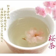 【日本玉露茶】最新最全日本玉露茶 产品参考