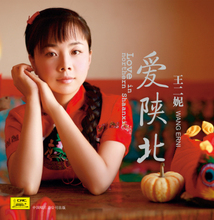 【王二妮陕北民歌】最新最全王二妮陕北民歌 