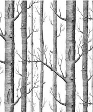 【白桦树墙纸】最新最全白桦树墙纸 产品参考