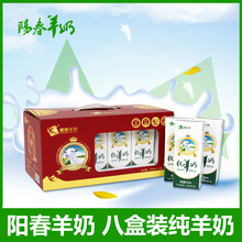阳春本地生活：融入城市脉搏的新篇章