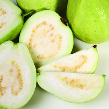 【芭乐果】_粮油价格_最新最全粮油返利优惠_一淘网