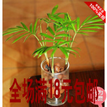 【陶粒水培】最新最全陶粒水培 产品参考信息