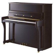 【赛乐尔钢琴】最新最全赛乐尔钢琴 产品参考
