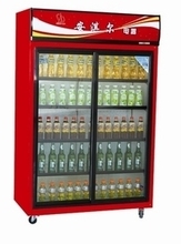 【立式双门冰柜展示柜】最新最全立式双门冰柜