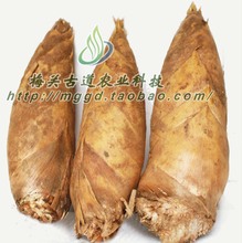 【广东韶关特产】最新最全广东韶关特产 产品