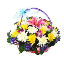 【祭奠花篮】最新最全祭奠花篮 产品参考信息_一淘搜索