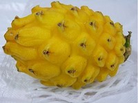 香港进口哥伦比亚 麒麟果 金燕窝果 黄龙果 水果